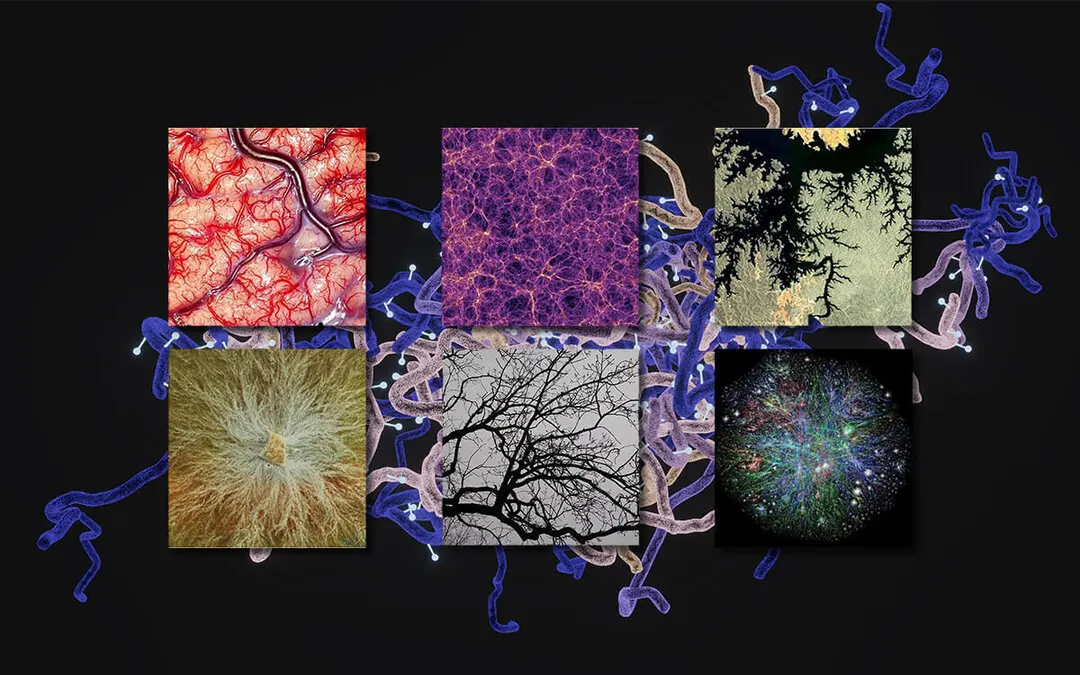 Mood board of organic textures, veins and roots