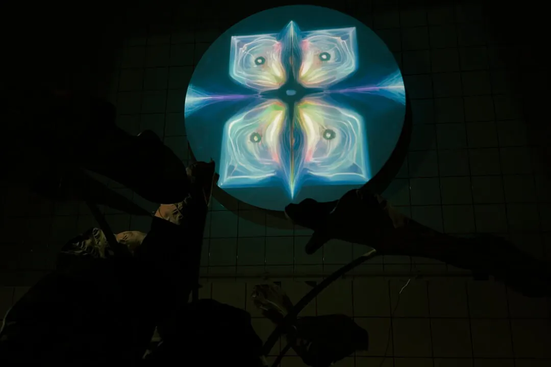 A round projection of a symmetrical, iridescent organic form